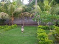 WhatsApp Image 2025-08-02 at 12.10.27